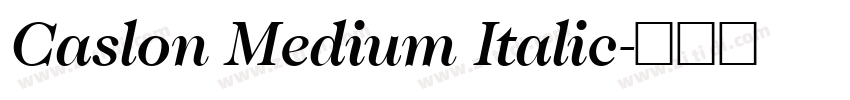 Caslon Medium Italic字体转换